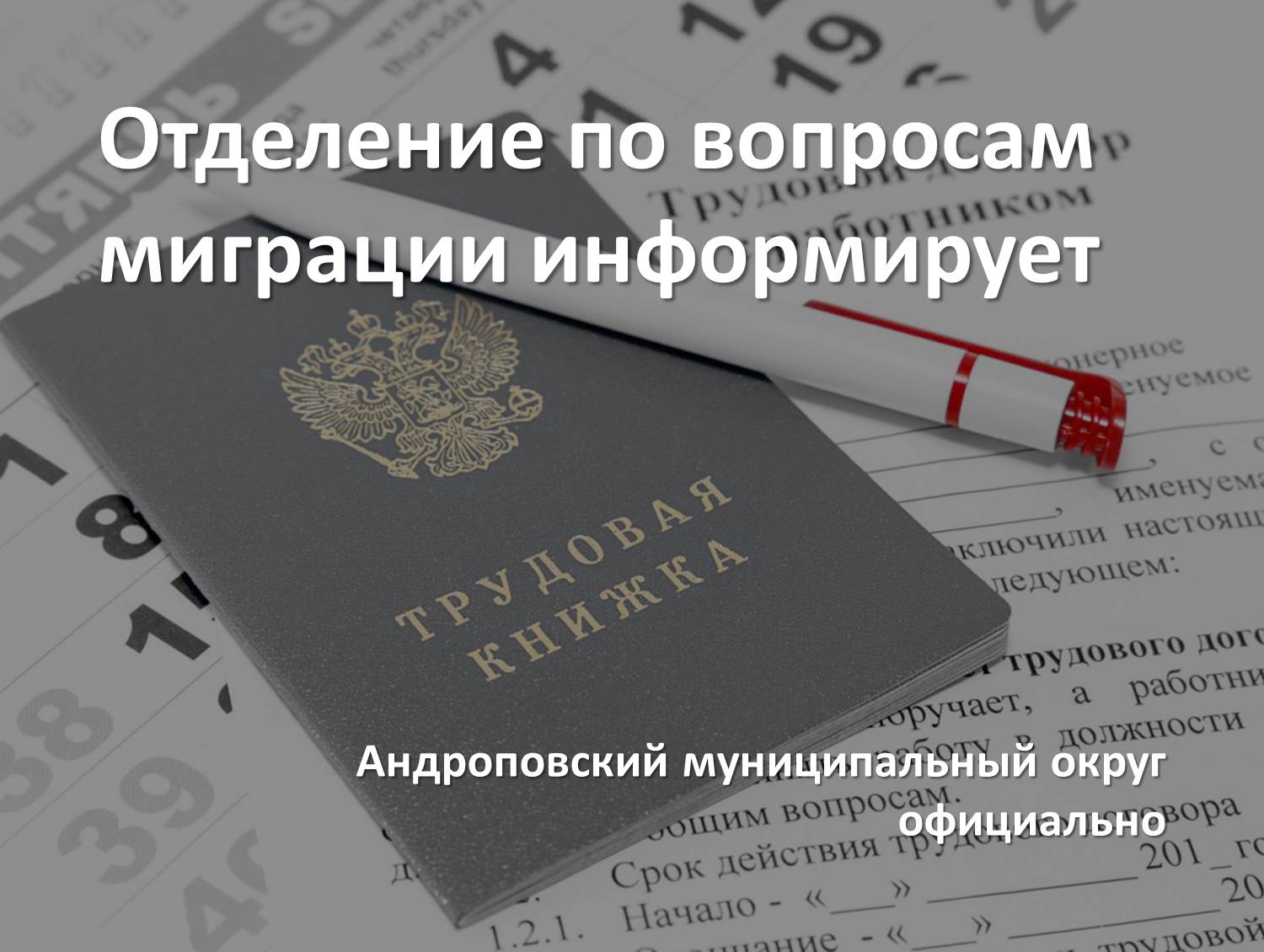 Порядок оформления трудовых отношений с иностранными гражданами, постоянно проживающими в Российской Федерации.