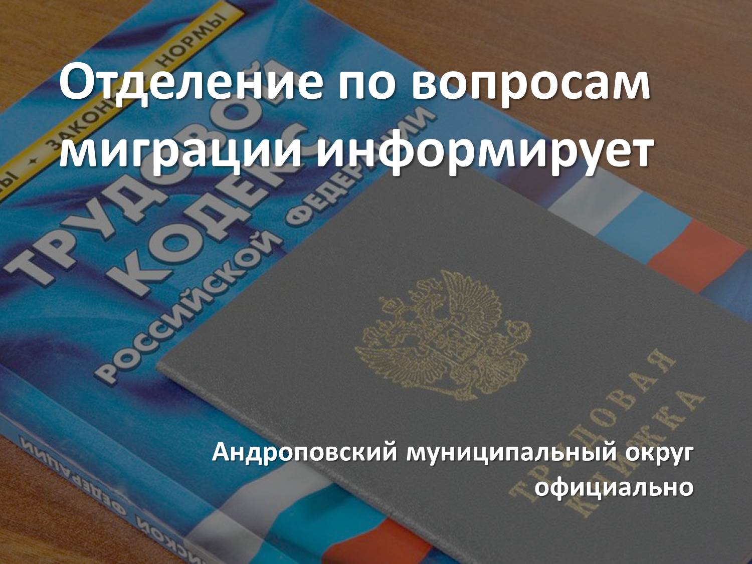 Порядок оформления трудовых отношений с иностранными гражданами, временно проживающими в Российской Федерации.